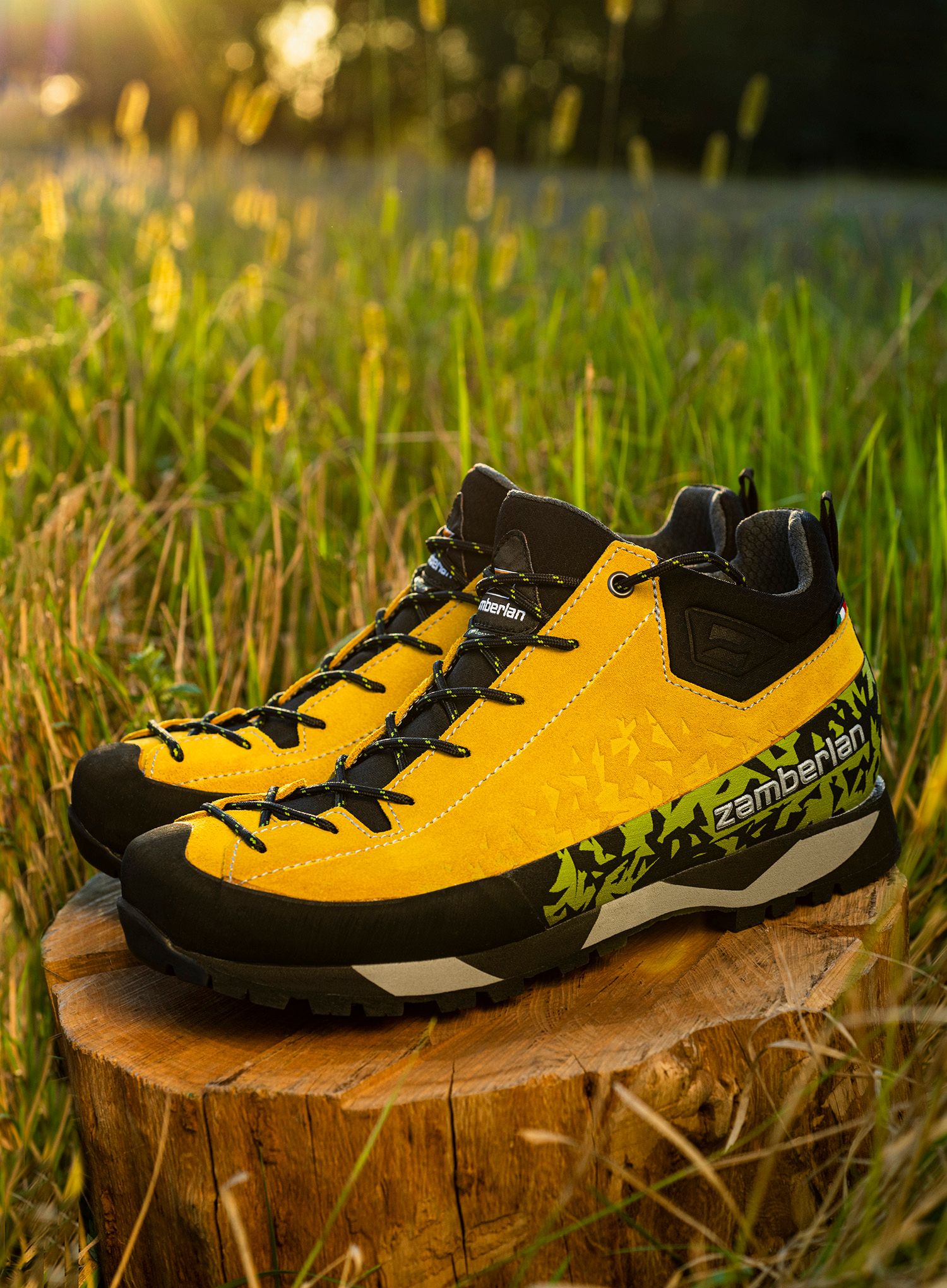 Pristopni čevlji Zamberlan Salathe GTX RR - yellow