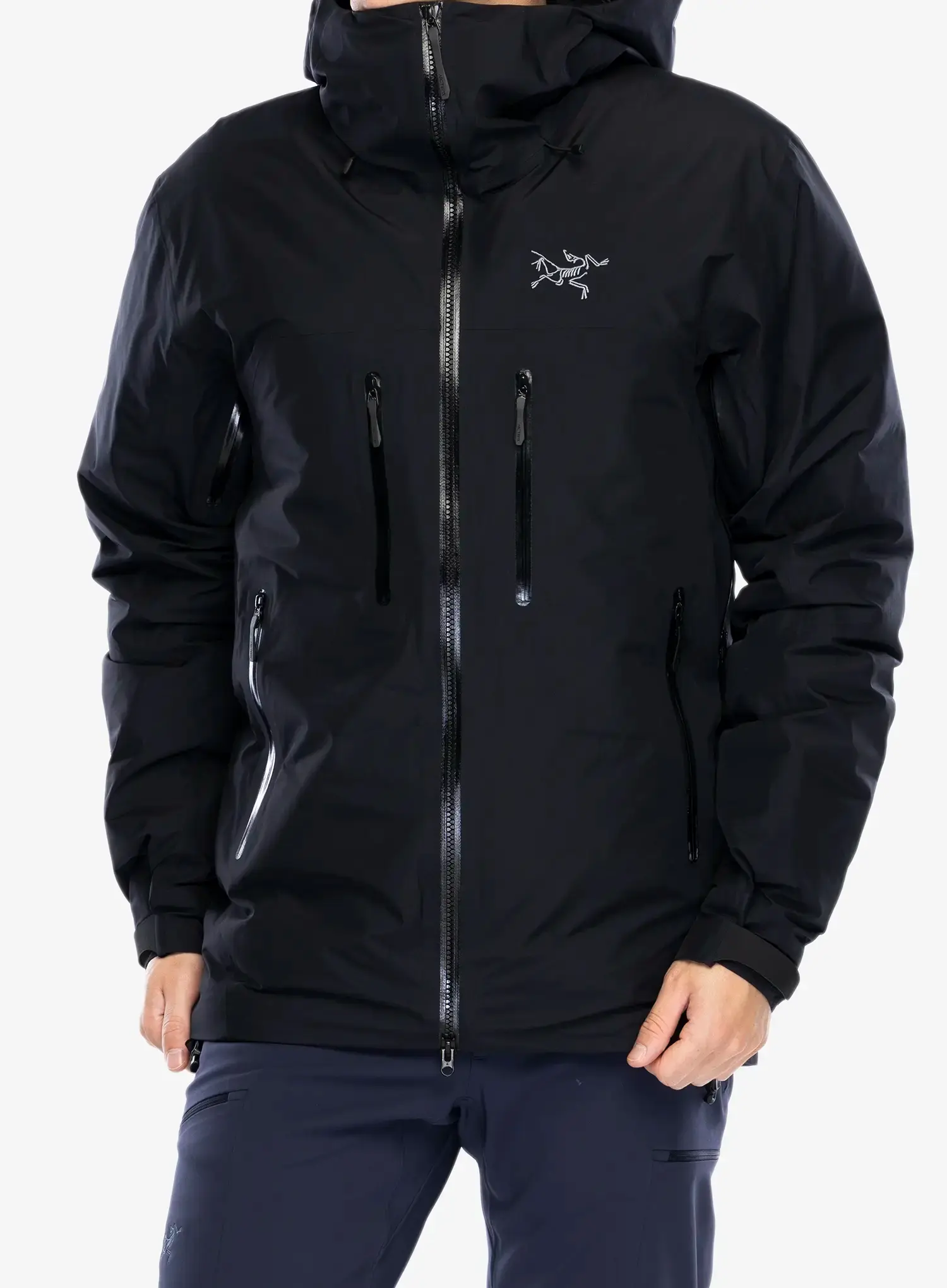 Puhovka Arcteryx Beta Down Insulated Jacket - black