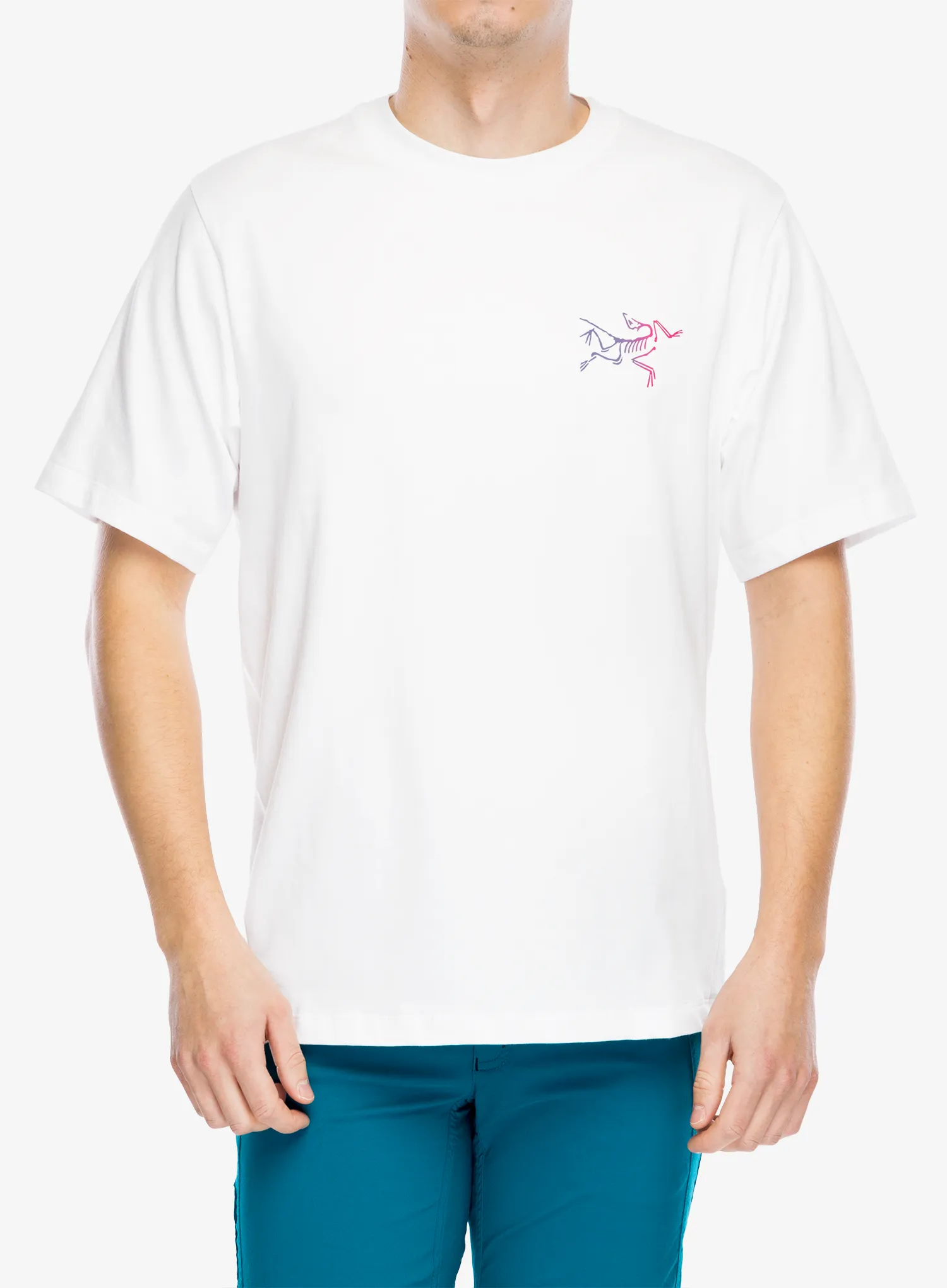 Majica Arcteryx Kragg Cotton Logo SS - white light/multi