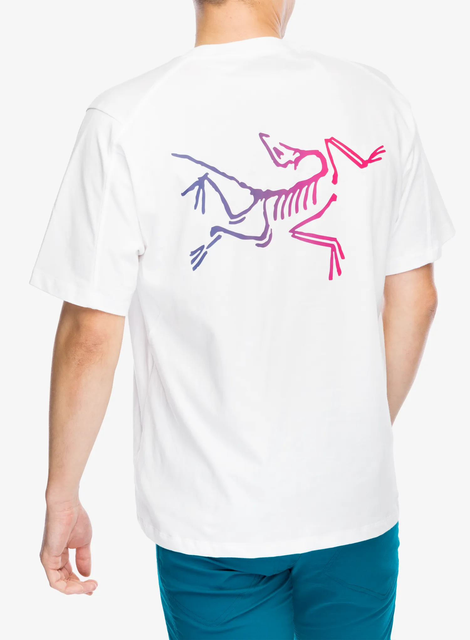 Majica Arcteryx Kragg Cotton Logo SS - white light/multi