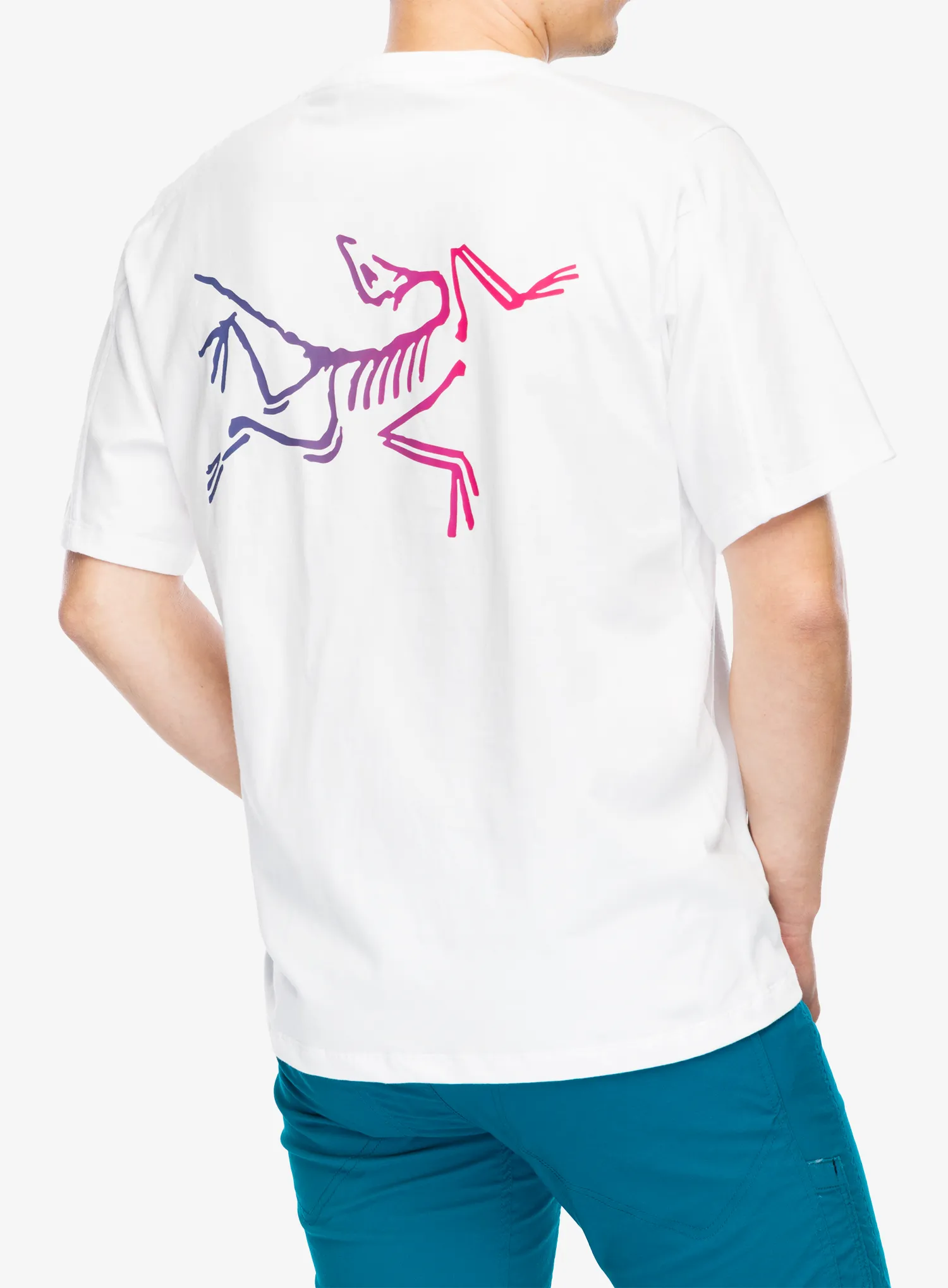 Majica Arcteryx Kragg Cotton Logo SS - white light/multi