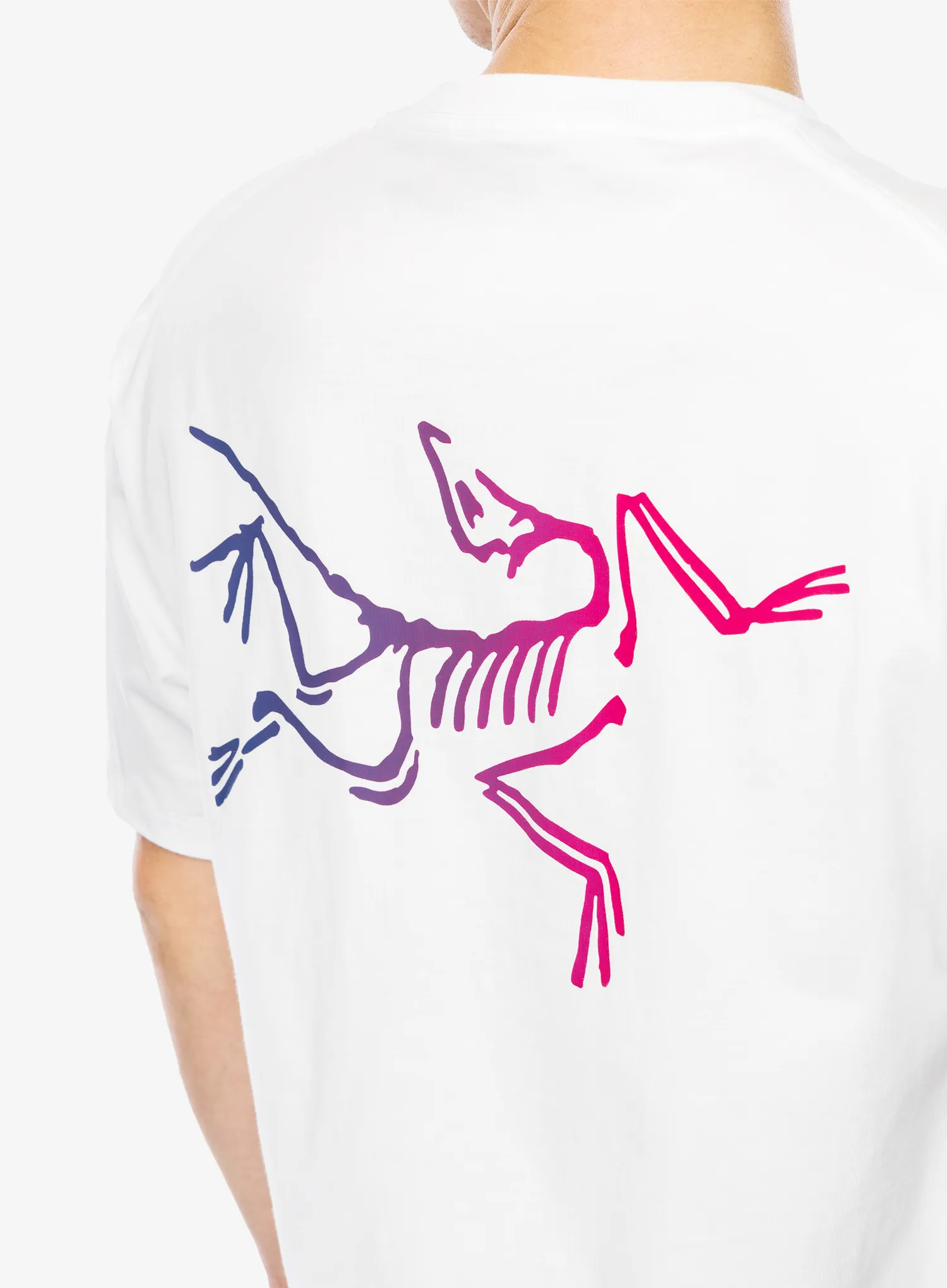 Majica Arcteryx Kragg Cotton Logo SS - white light/multi