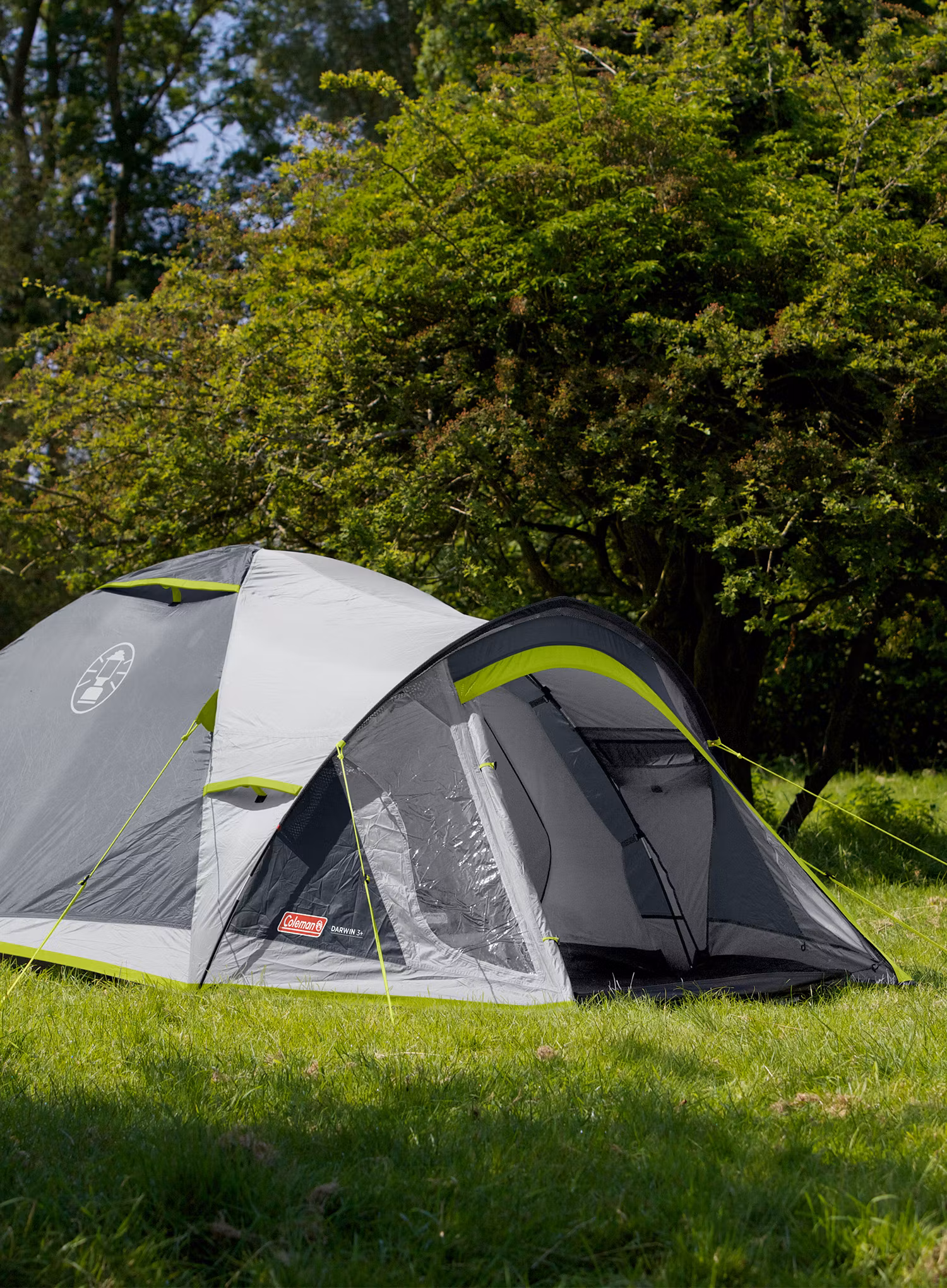 Šotor za tri osebe Coleman Darwin 3 Plus - grey/green