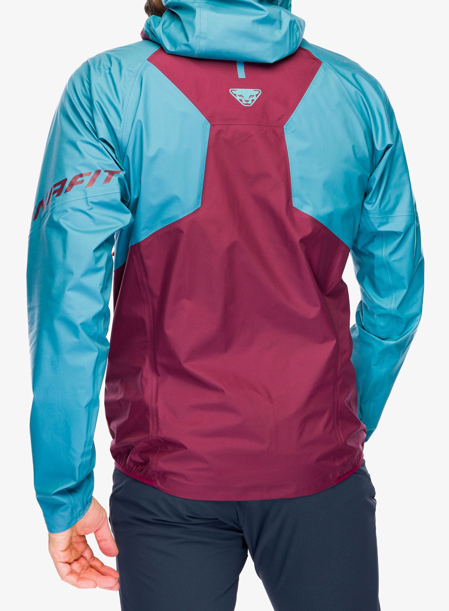 GORE-TEX jakna Dynafit Transalper GTX Jacket - storm blue