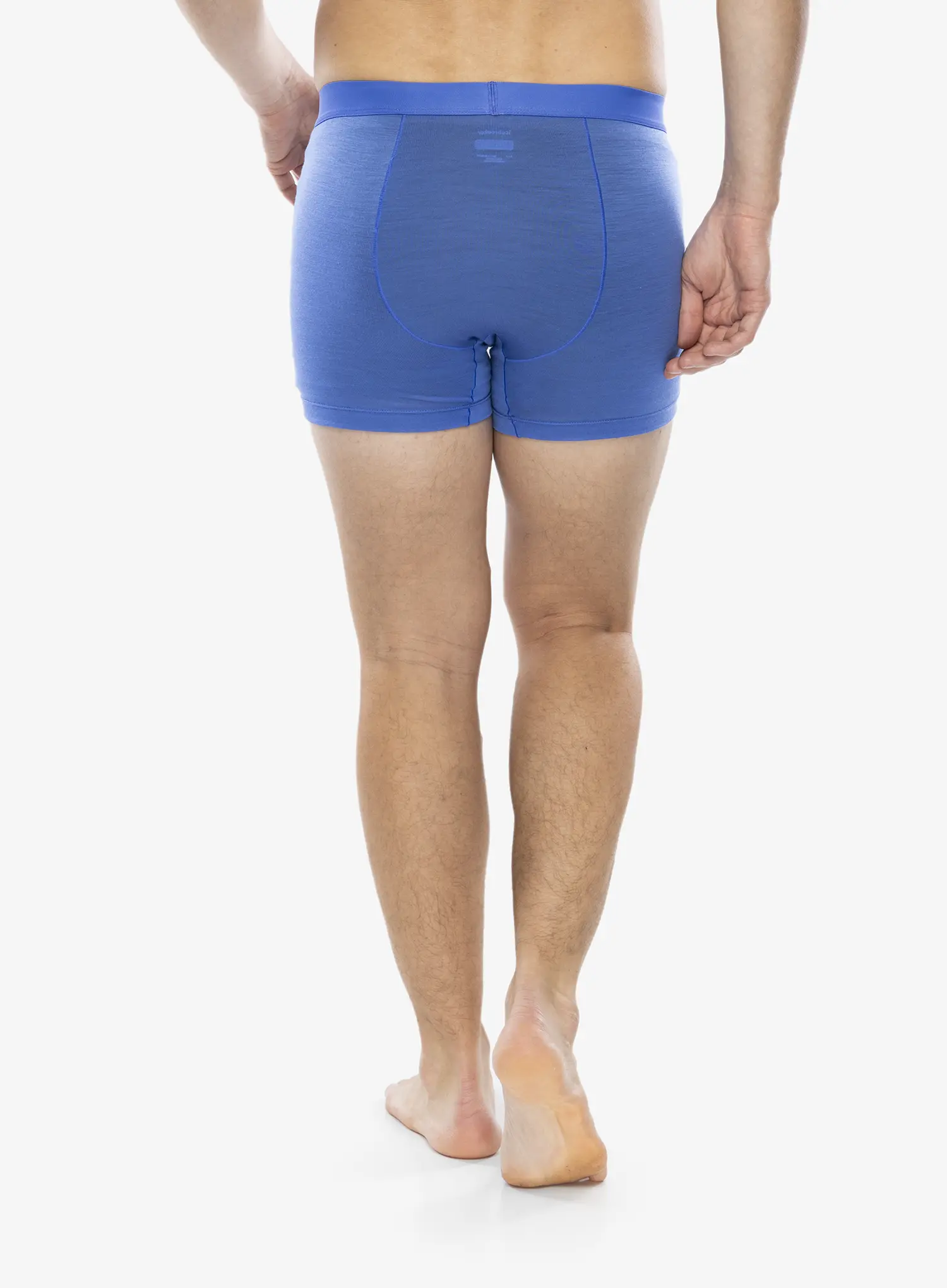 Boksarice Icebreaker Merino 125 Cool-Lite Anatomica Boxers - brilliant