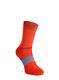 Nogavice Inov-8 Active High - fiery red/blue grey