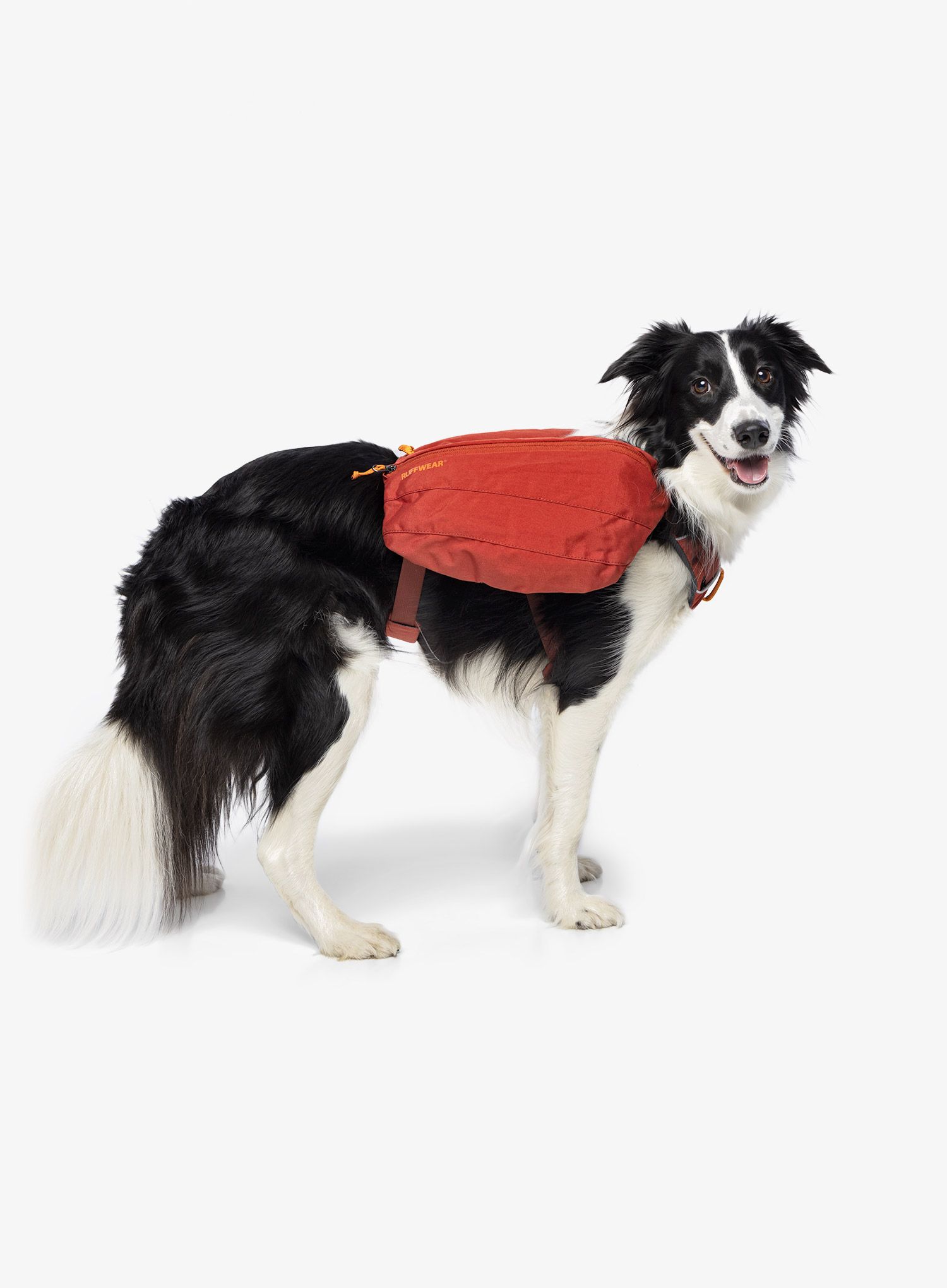 Nahrbtnik za psa Ruffwear Front Range Day Pack - red clay