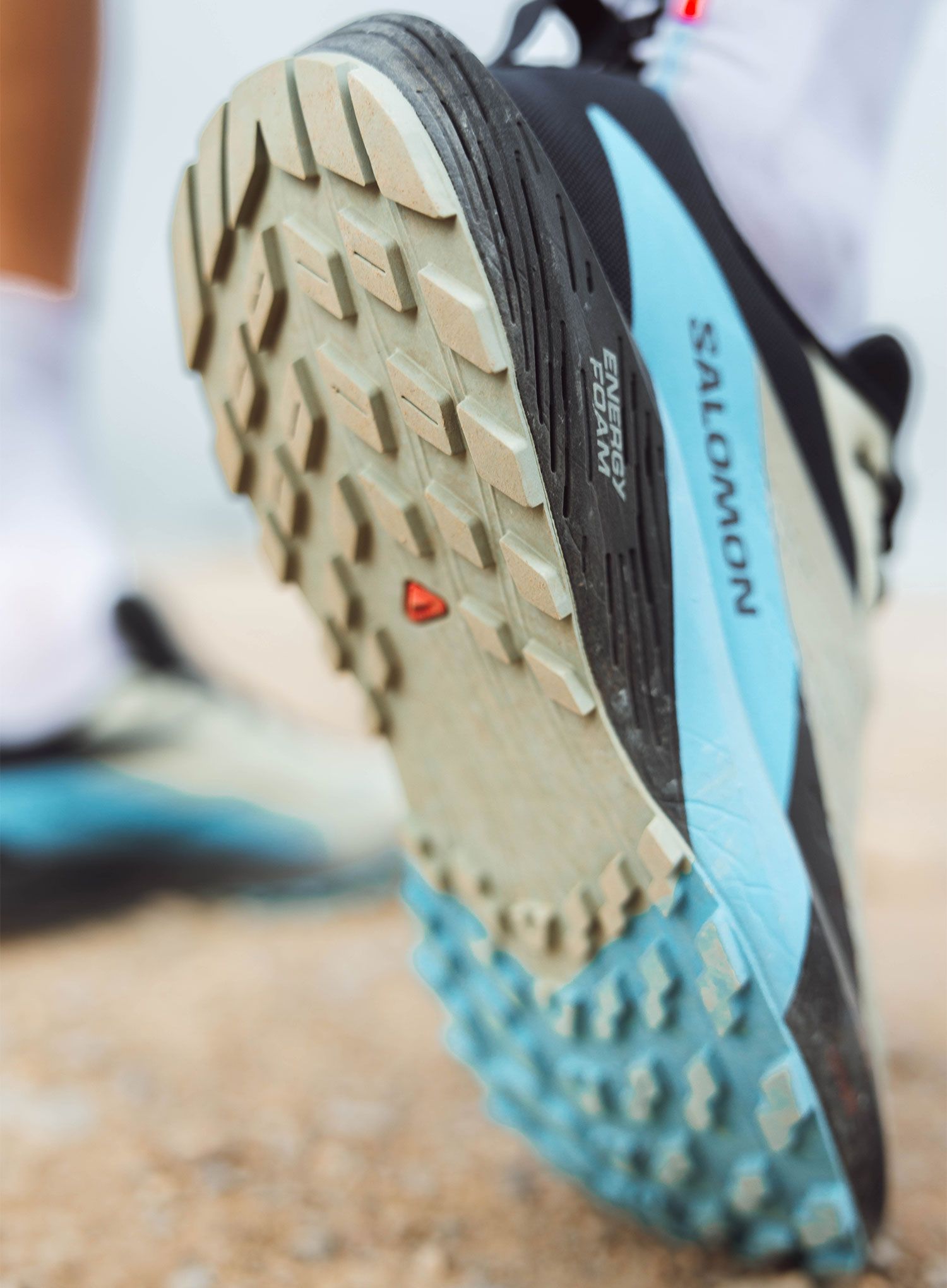Trail tekaški čevlji Salomon Sense Ride 5 - alfalfa/carbon/blue