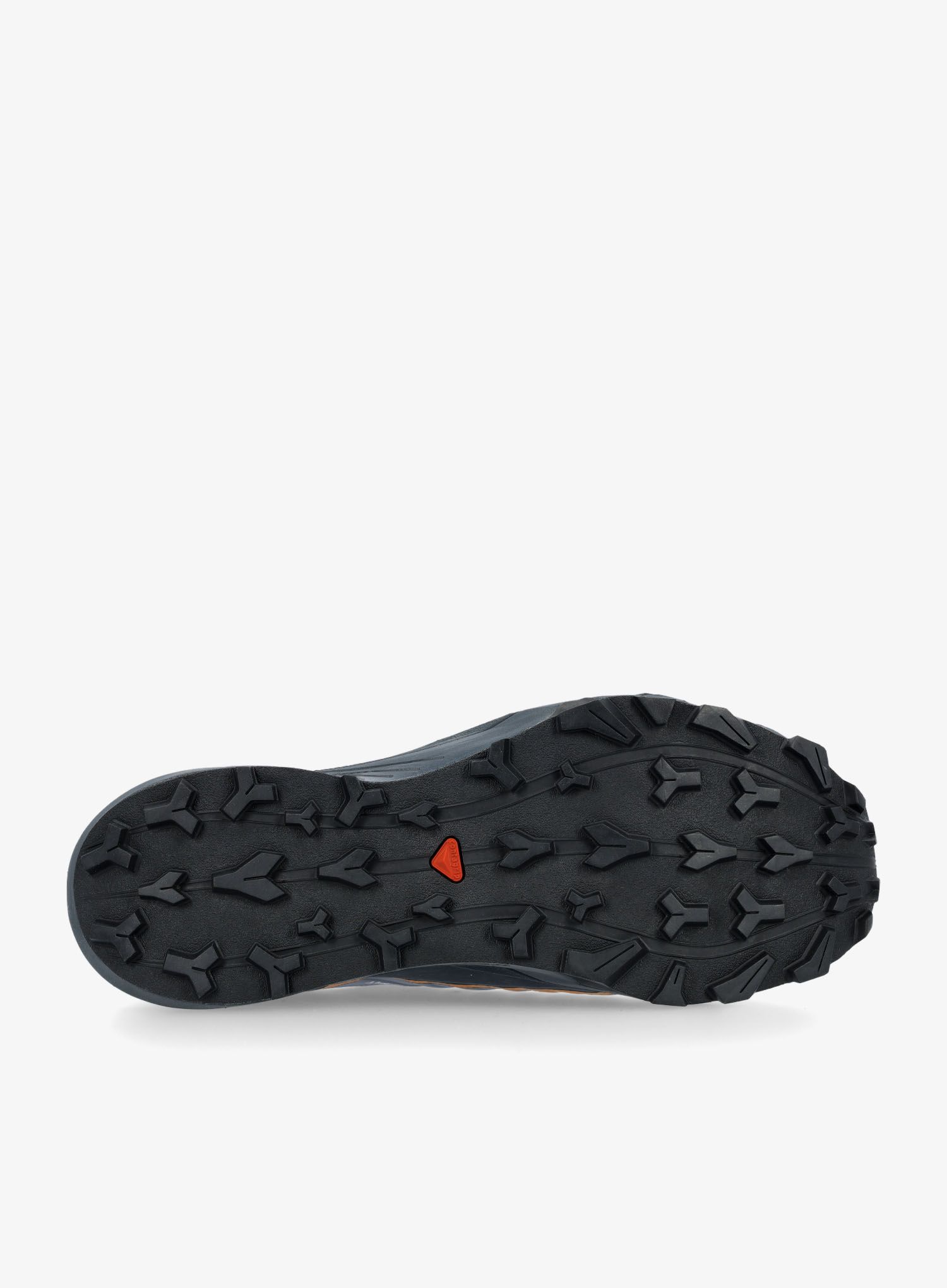 Moški tekaški čevlji Salomon Thundercross GTX - flint/carbon/orange
