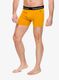 Boksarice Smartwool Merino Boxer Brief Boxed - honey gold