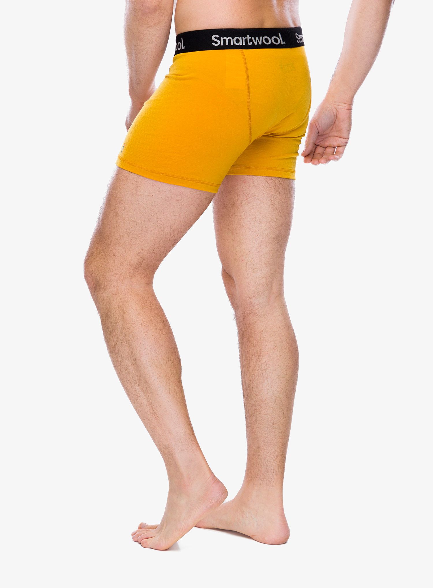 Boksarice Smartwool Merino Boxer Brief Boxed - honey gold