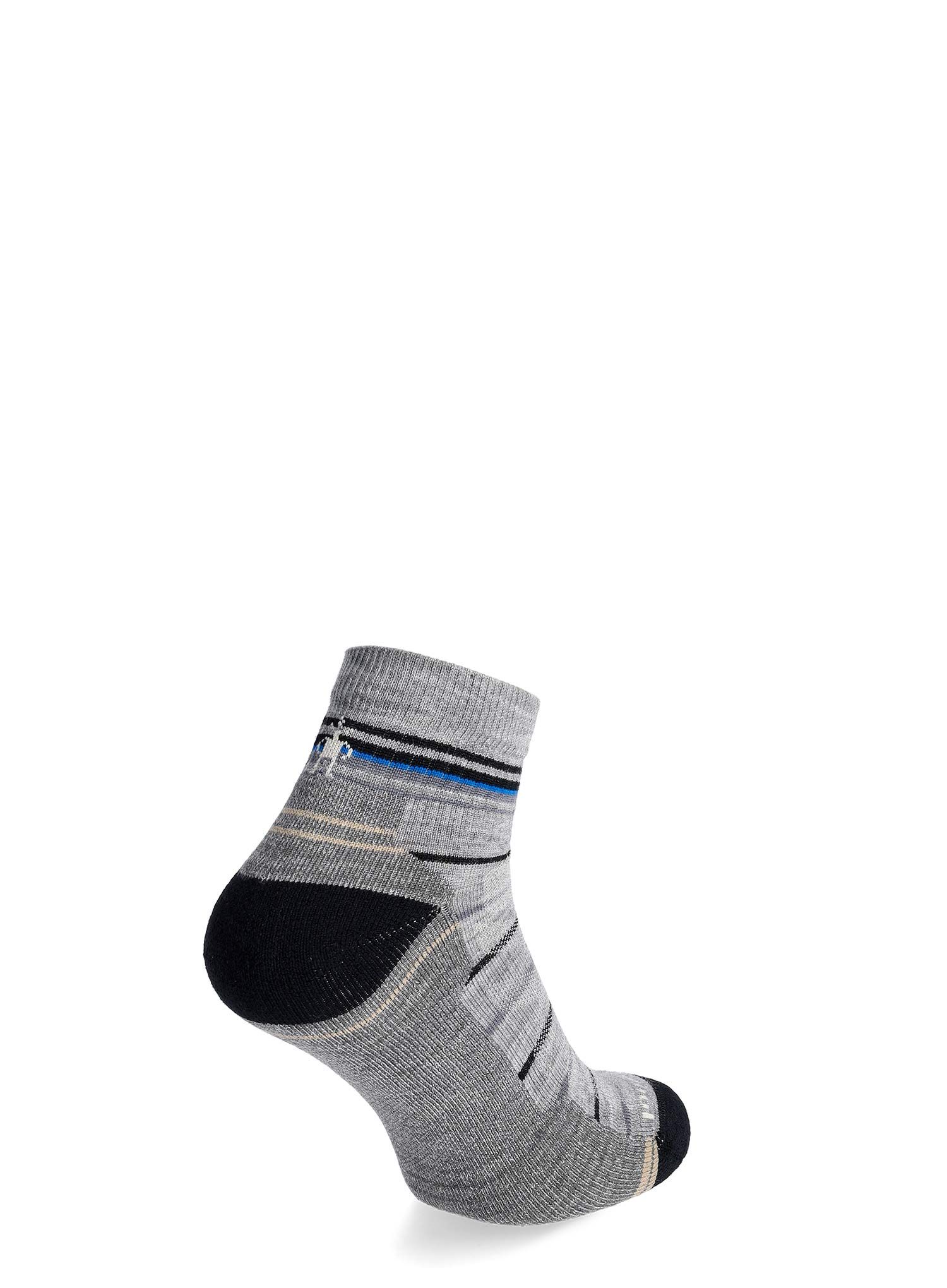 Pohodniške nogavice Smartwool Performance Hike Light Cushion - gray