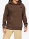 Jopica s kapuco The North Face Raglan Redbox Hoodie - smokey brown