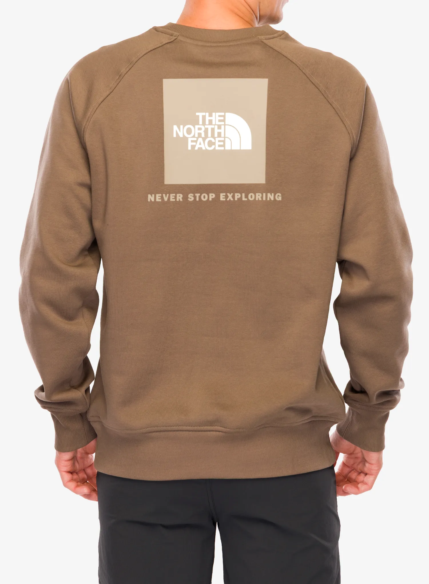 Puloverji brez kapuce The North Face Raglan Redbox Crew - mocha brown/mushroom
