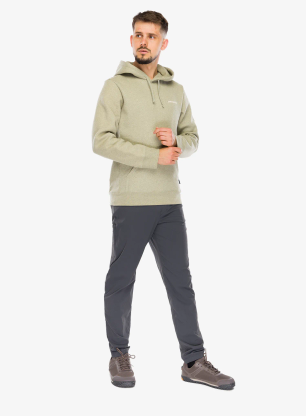 Jopica s kapuco Patagonia Boardshort Logo Uprisal Hoody - gumtree green