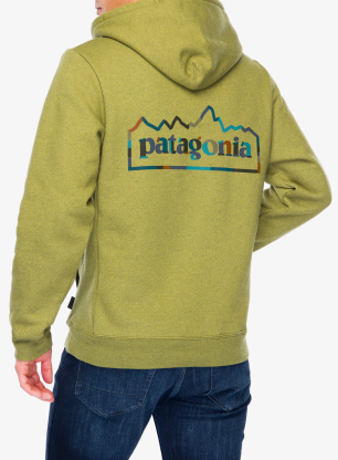 Jopica s kapuco Patagonia Unity Fitz Uprisal Hoody - graze green