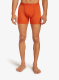 Boksarice Icebreaker Anatomica Boxers - fervid