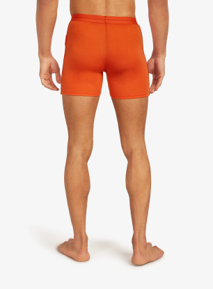 Boksarice Icebreaker Anatomica Boxers - fervid