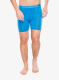 Boksarice Icebreaker Anatomica Long Boxers - arctic