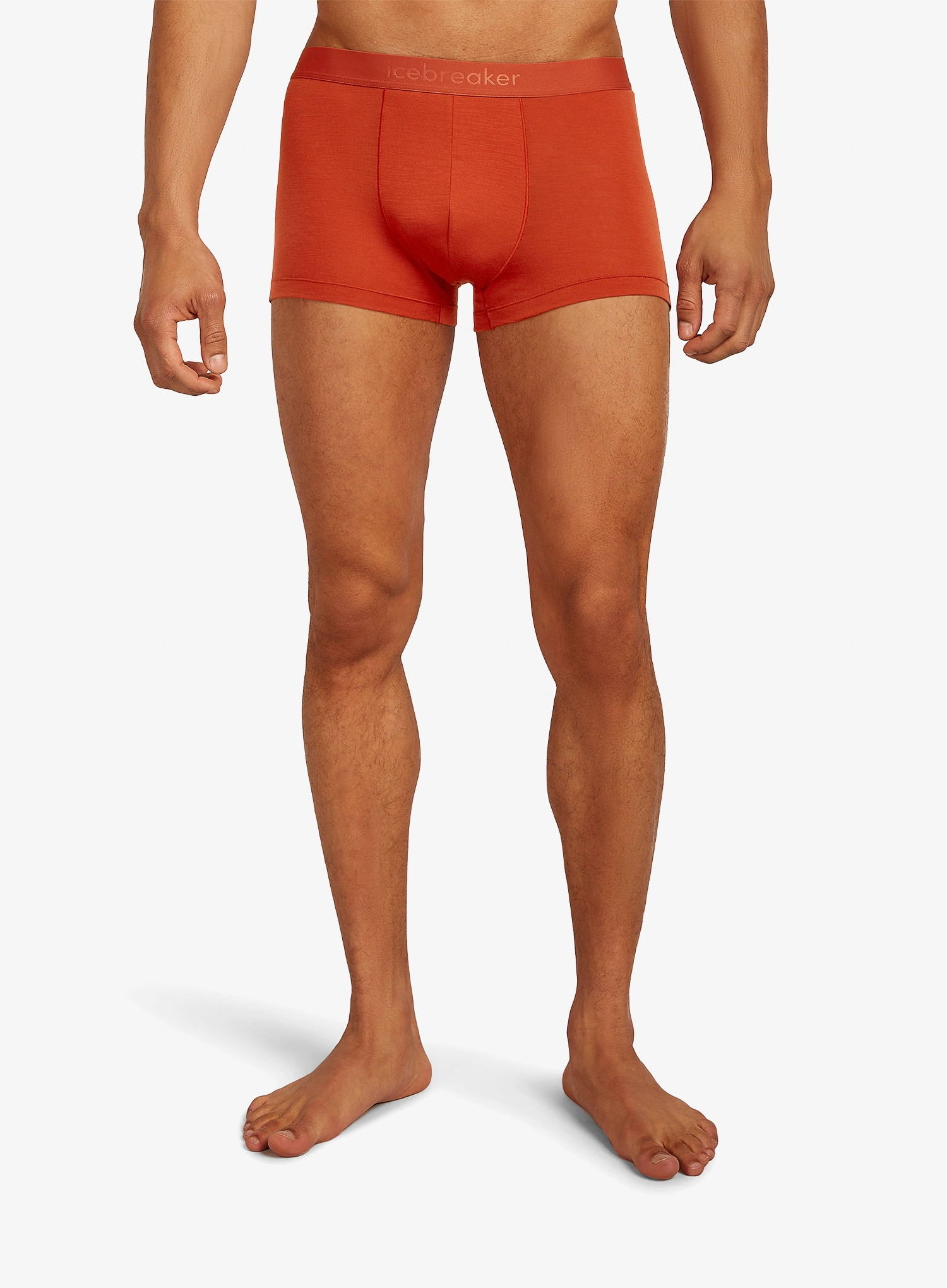 qweIcebreakerMerino125Cool_LiteAnatomicaTrunks_agate198265232110a.webp