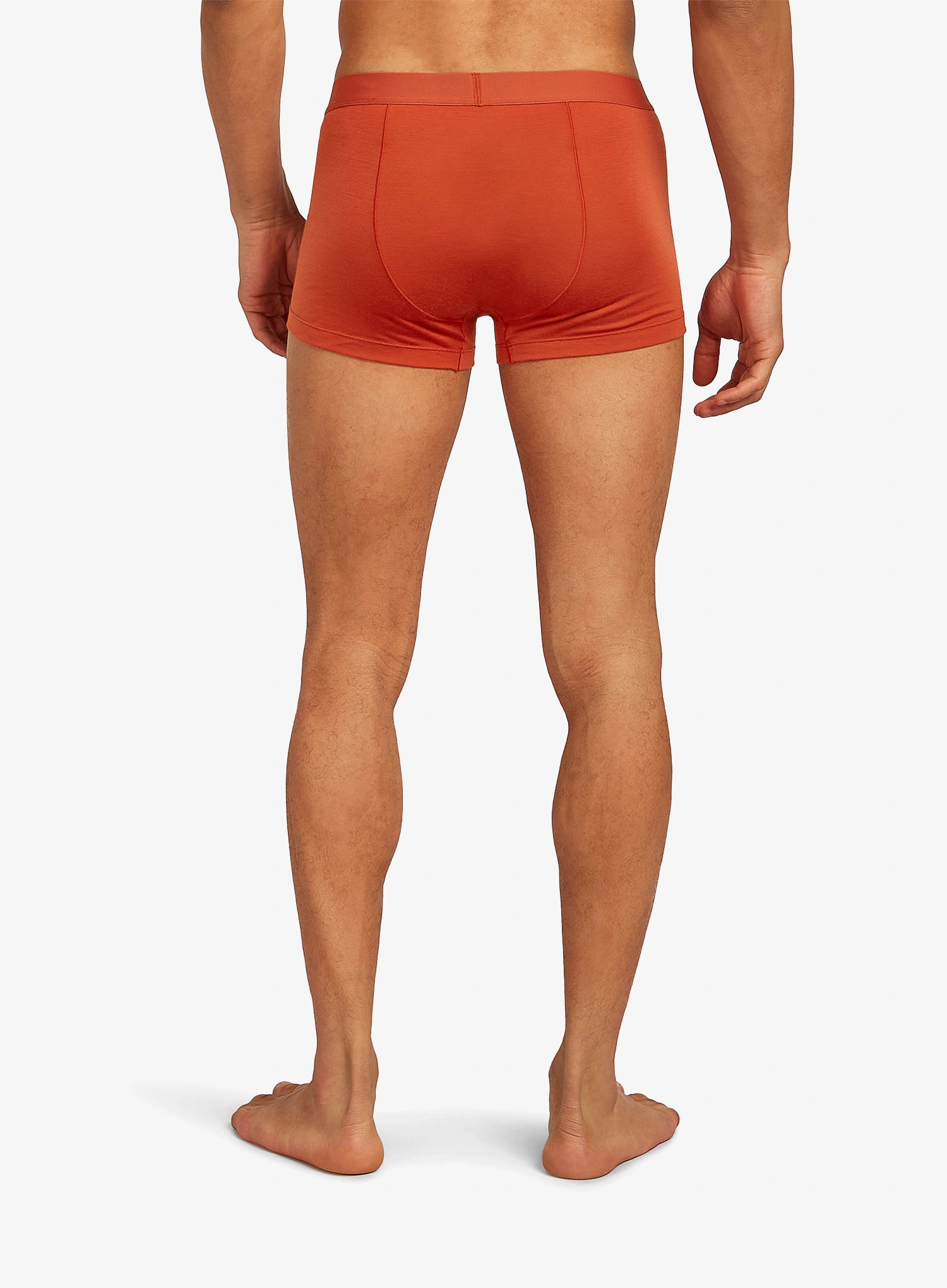 Boksarice Icebreaker Merino 125 Cool-Lite Anatomica Trunks - agate