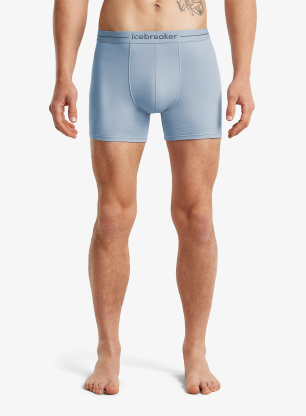 qwe_IcebreakerMerino150AnatomicaBoxerszincblue196247904161A.webp