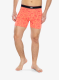 SaxxDaytripperBoxerBriefFly_parrotpartyfusioncolar_688296519644a.webp