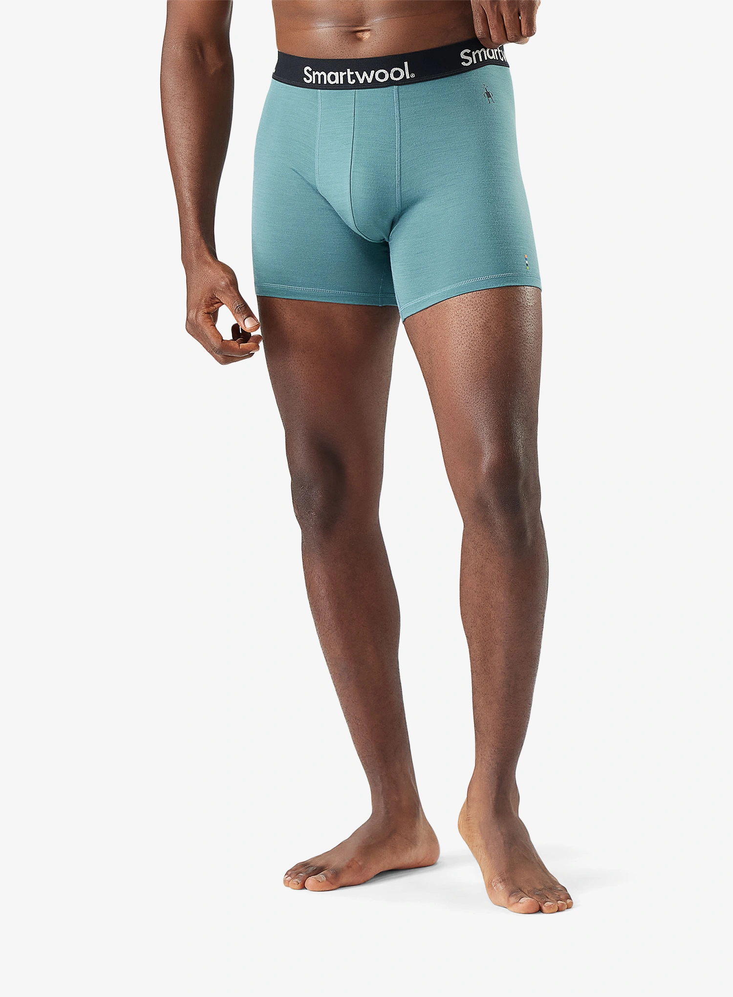 qweRafikiJay_ensignblueIISmartwoolEverydayMerinoBoxerBriefBoxeddustyteal197805793661a.webp