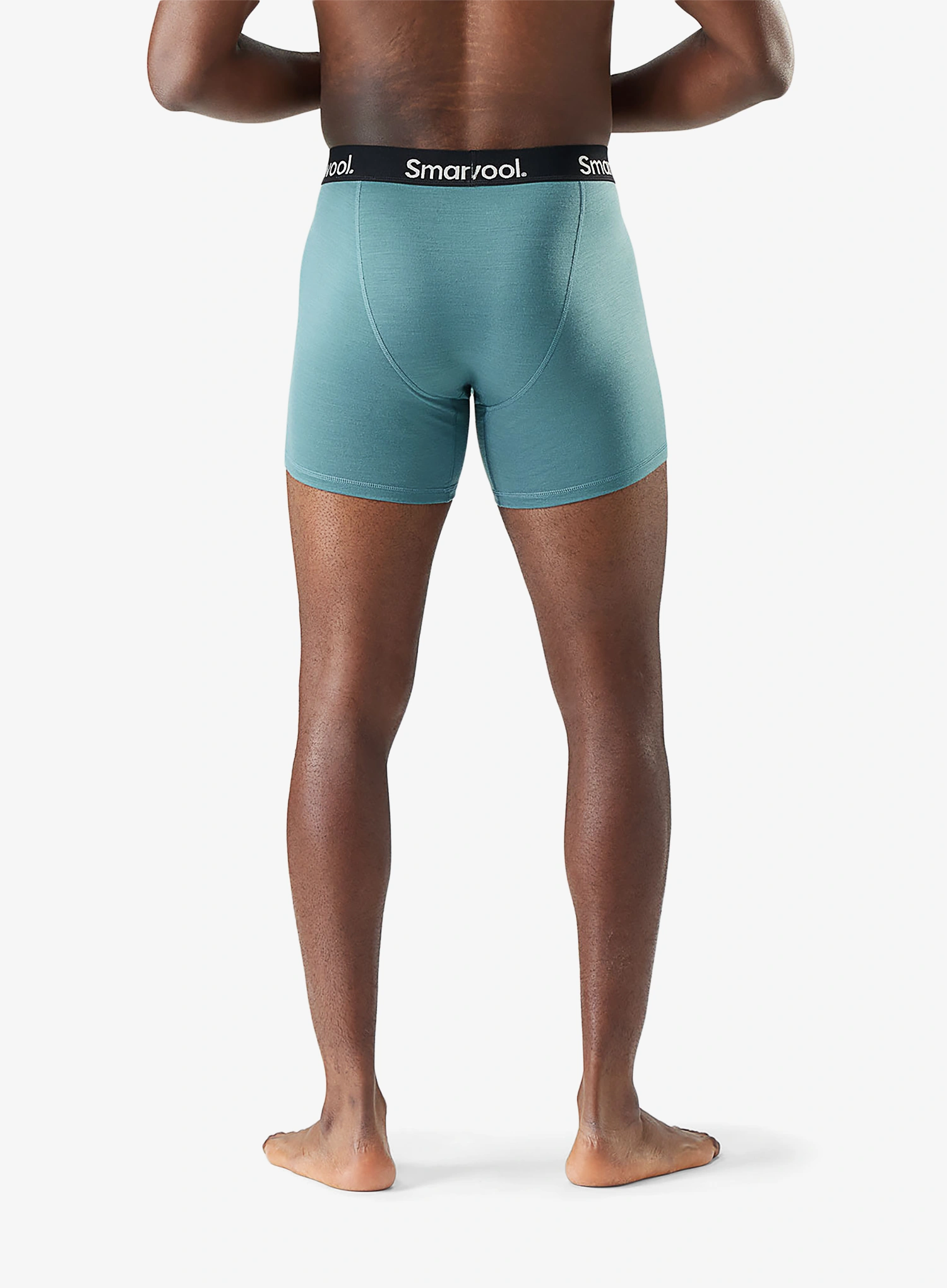 Boksarice Smartwool Everyday Merino Boxer Brief Boxed - dusty teal