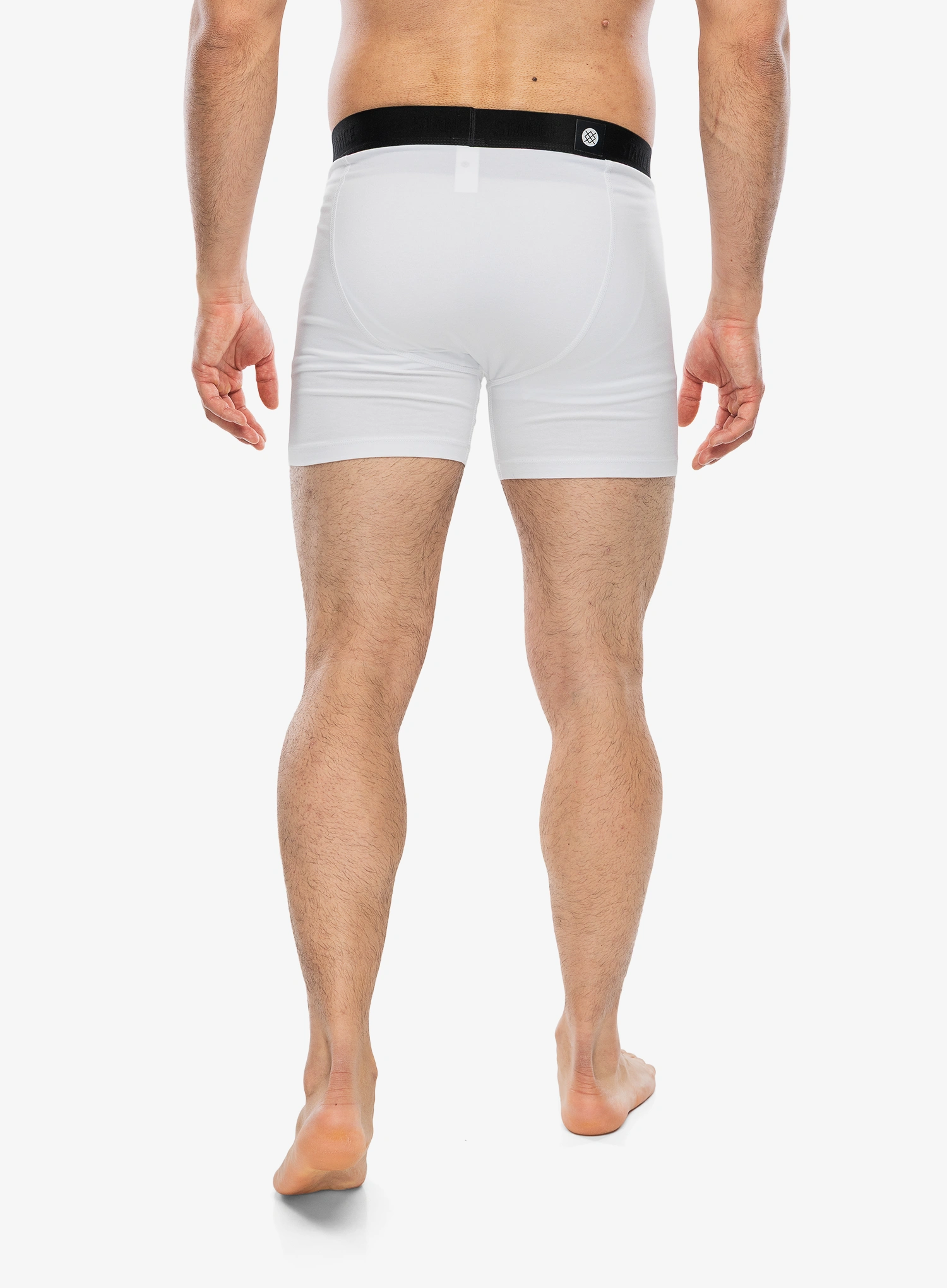 Boksarice Stance Boxer Brief 3 Pack - multi
