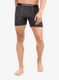 Moške boksarice Icebreaker ANATOMICA BOXERS - gritstone hthr