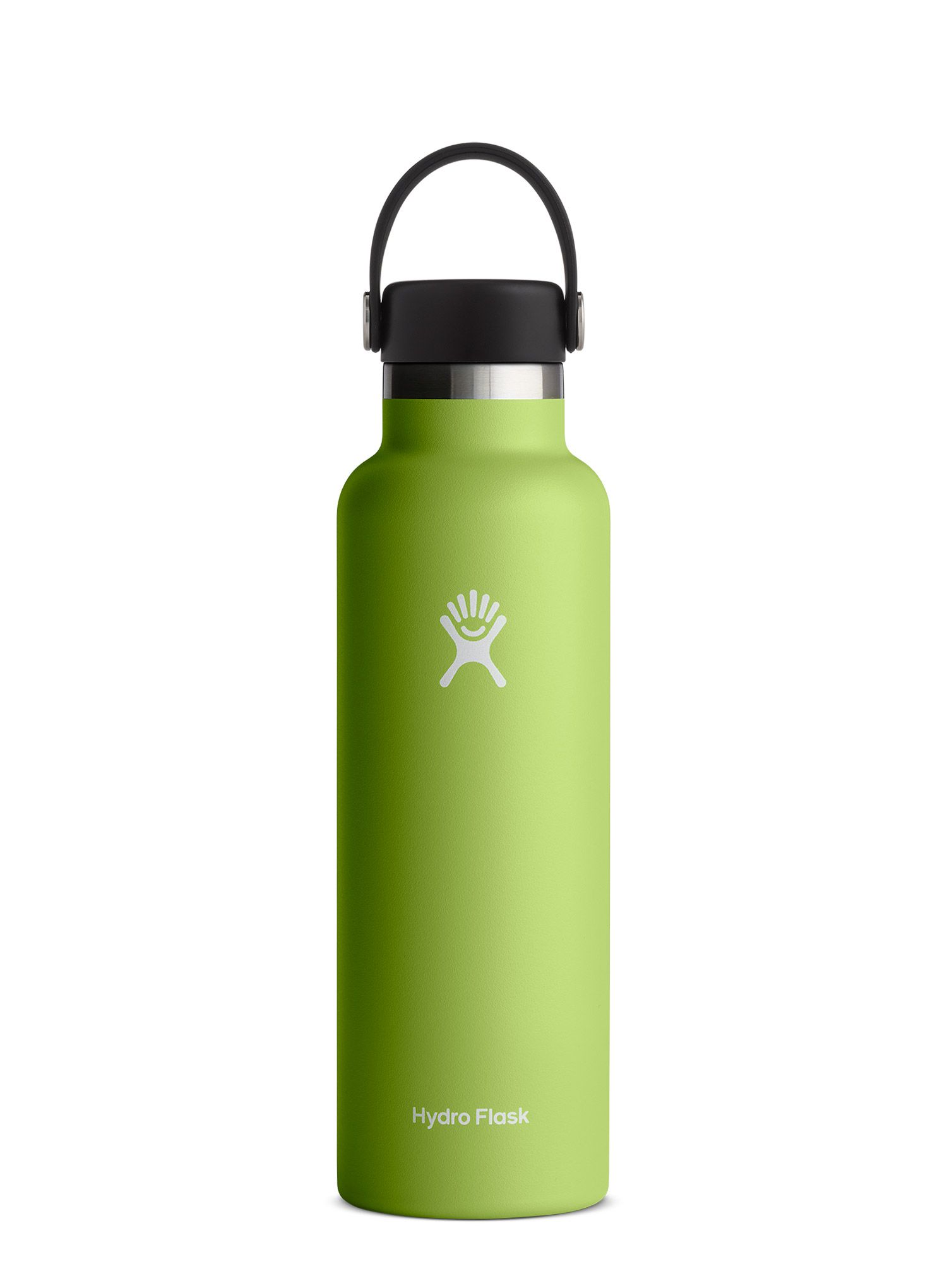 Termo steklenica Hydro Flask 21 Oz Standard Flex Cap - seagrass