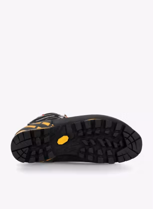 Ženski čevlji Zamberlan Mountain Pro EVO GTX RR PU - grey/black