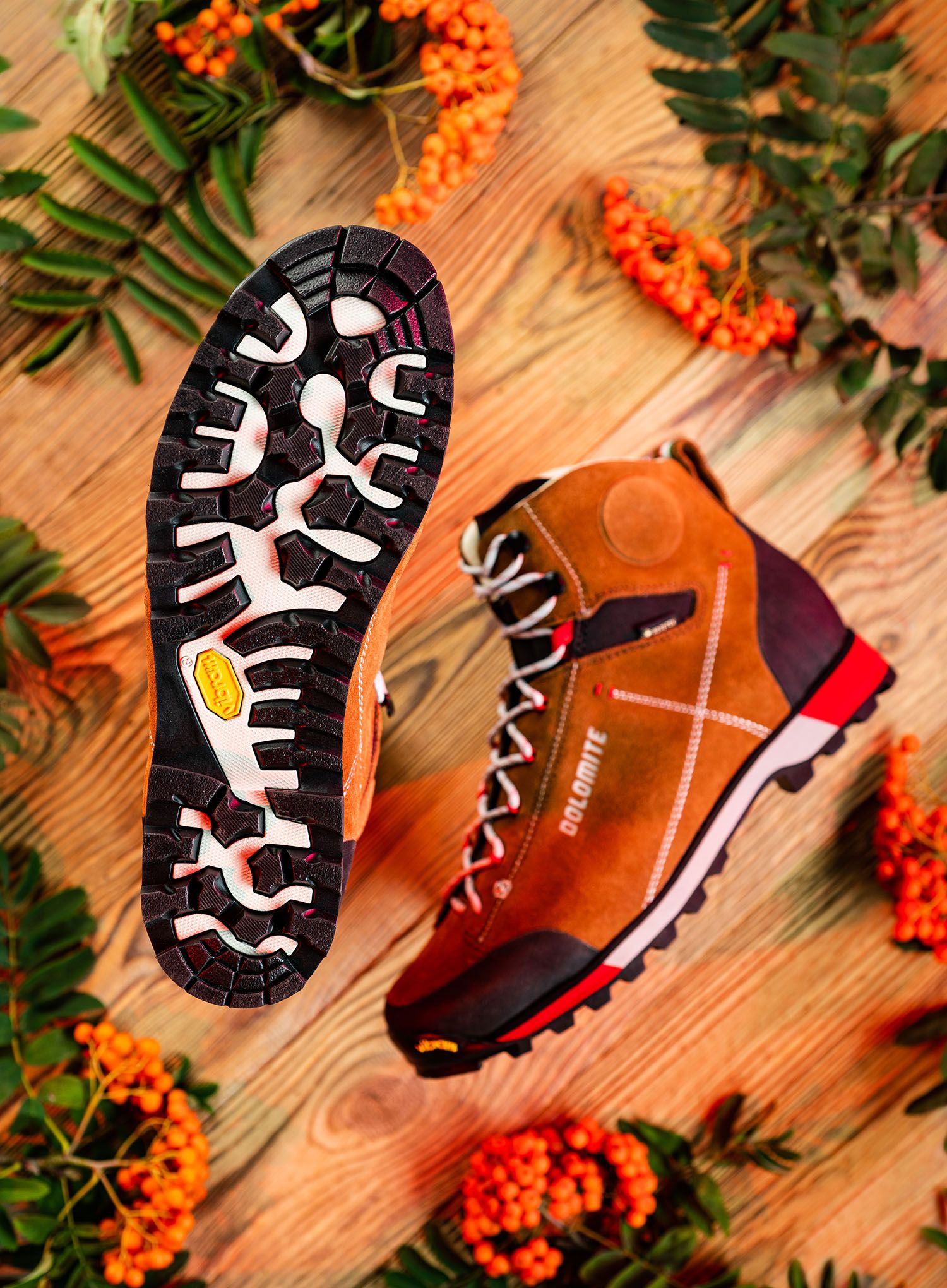 Moški pohodniški čevlji Dolomite 54 Hike Evo GTX - bronze brown