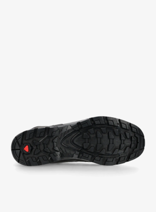 Pohodniški čevlji Salomon Quest 4 GTX - magnet/black/quarry
