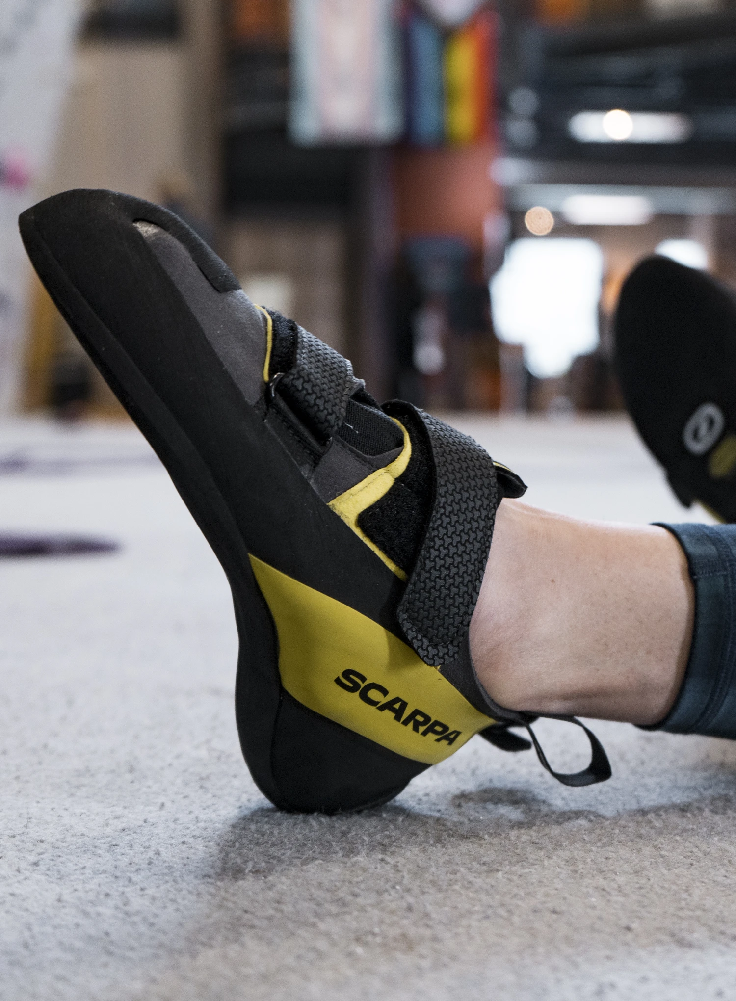 Plezalni čevlji Scarpa Arpia V - shark/yellow