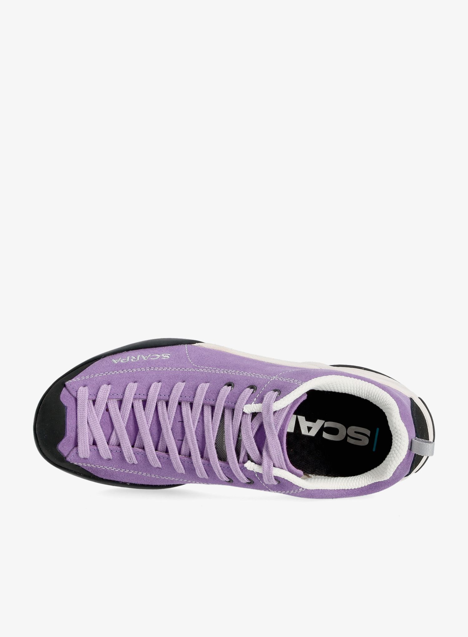 Ženski čevlji Scarpa Mojito - violet tulip