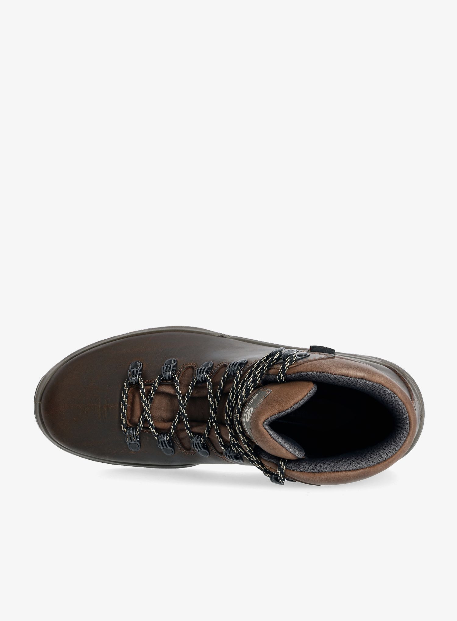 Pohodniški čevlji Scarpa Terra GTX - brown