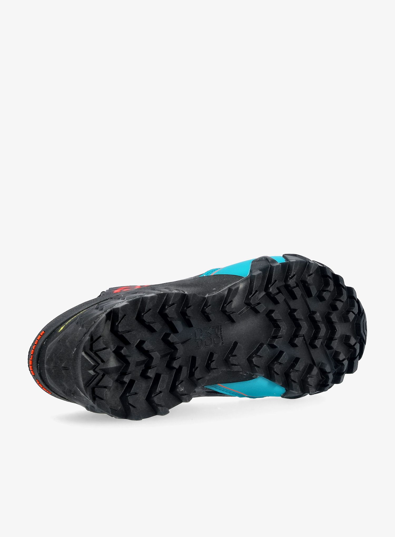 Ženski tekaški čevlji Dynafit Feline SL GTX - black out/ocean