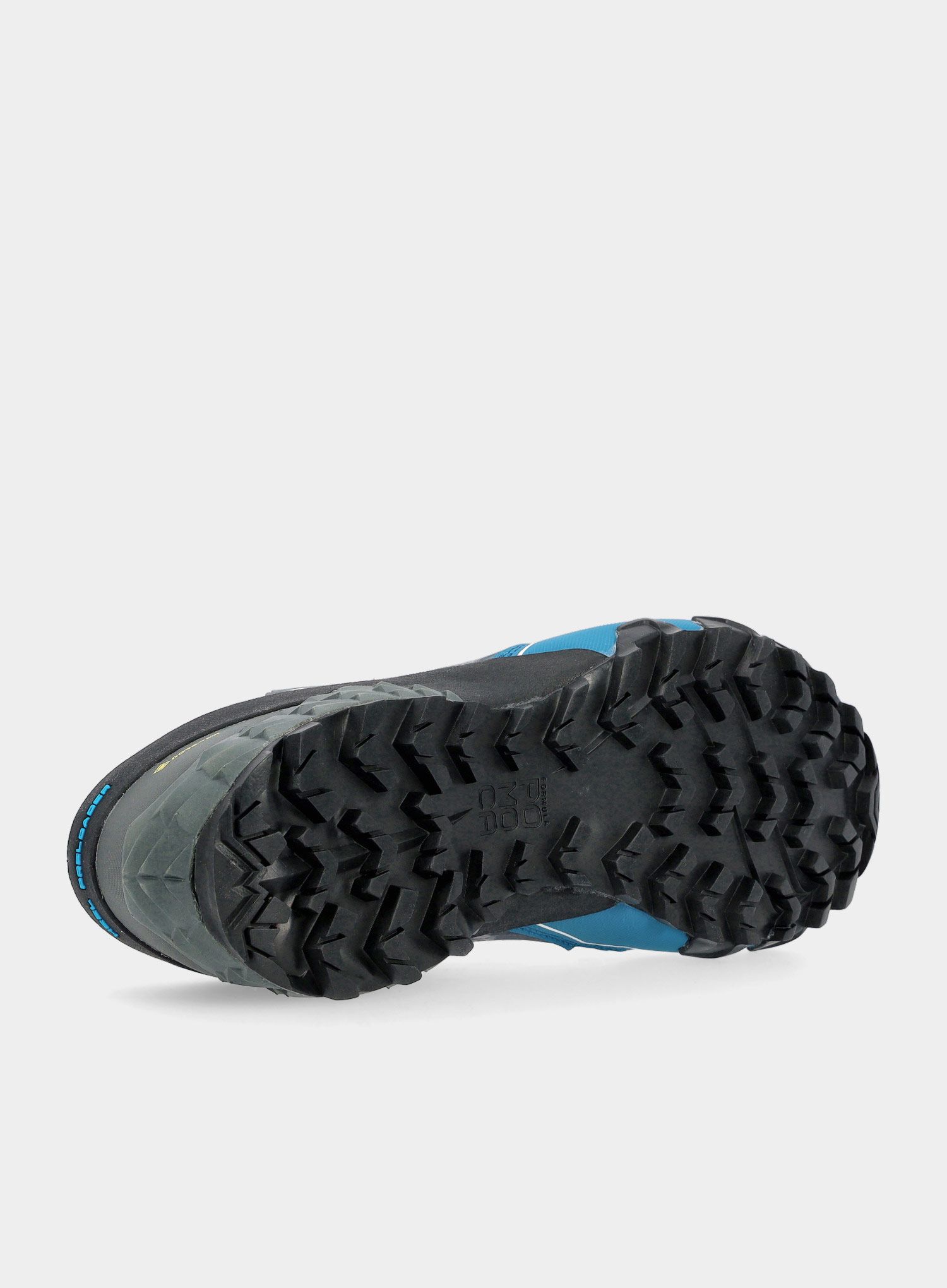 Moški tekaški čevlji Dynafit Feline SL GTX - carbon/frost