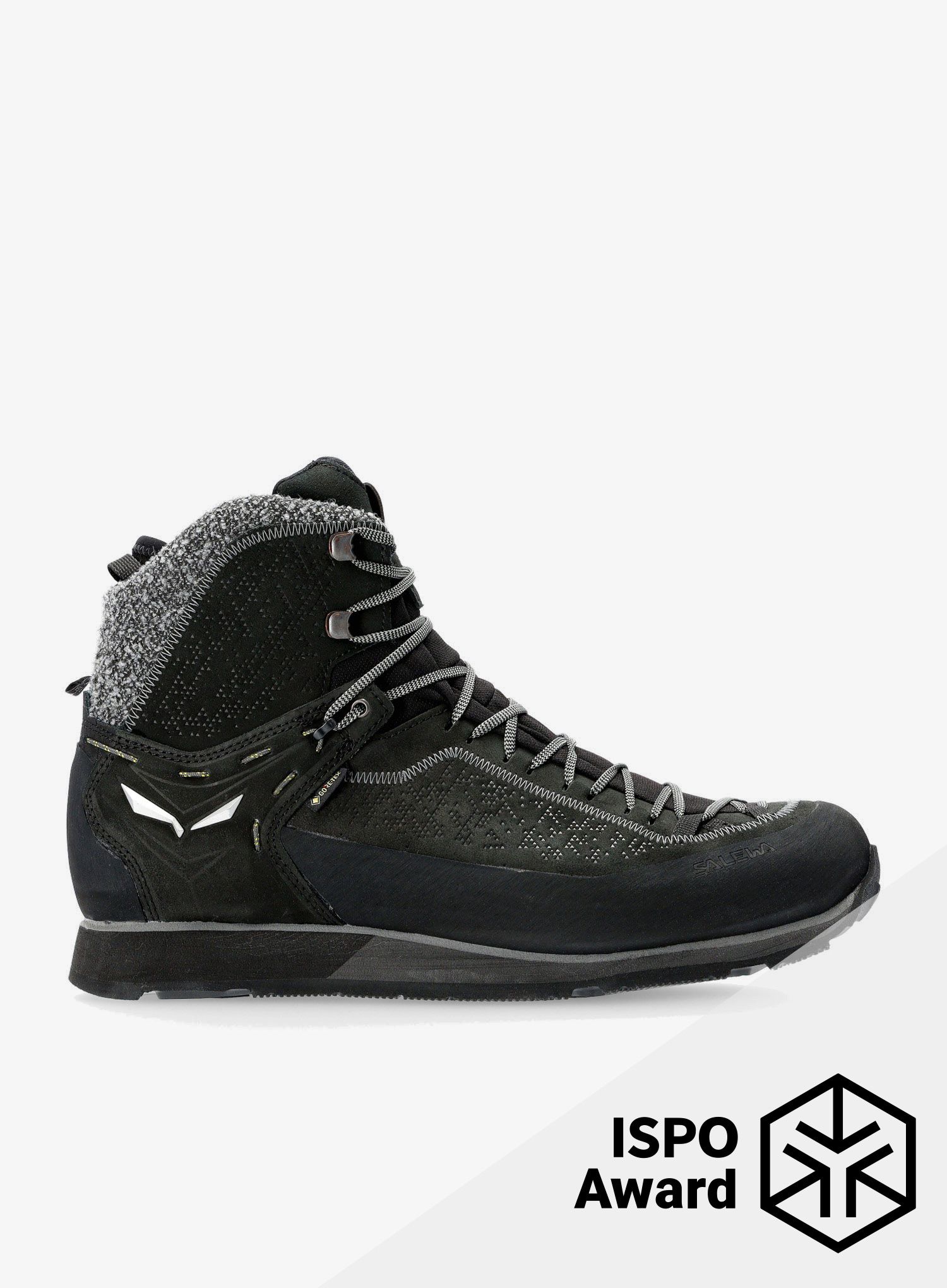 Moški pohodniški čevlji Salewa Mountain Trainer 2 Winter GTX - black/black