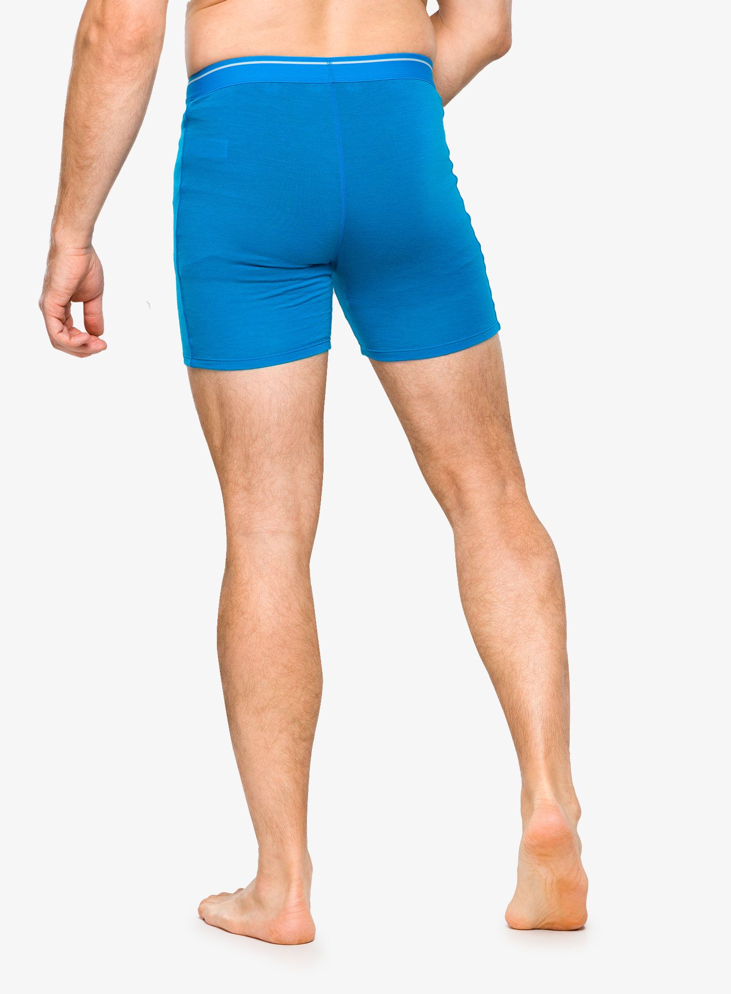Boksarice Icebreaker Anatomica Long Boxers - geo blue