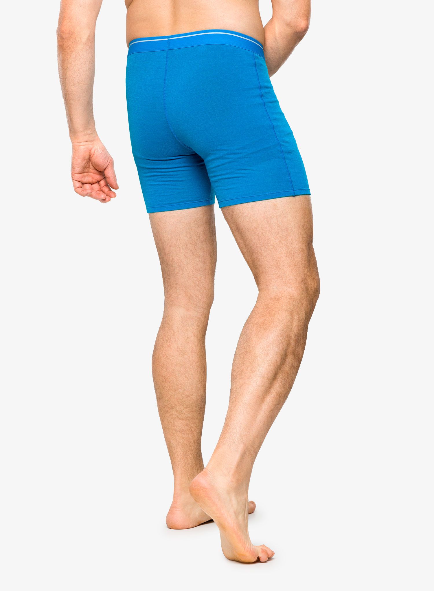 Boksarice Icebreaker Anatomica Long Boxers - geo blue