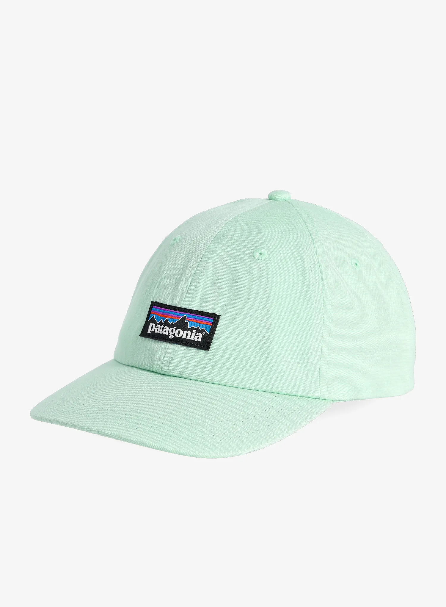 Kape Patagonia P-6 Label Trad Cap - rinsed green