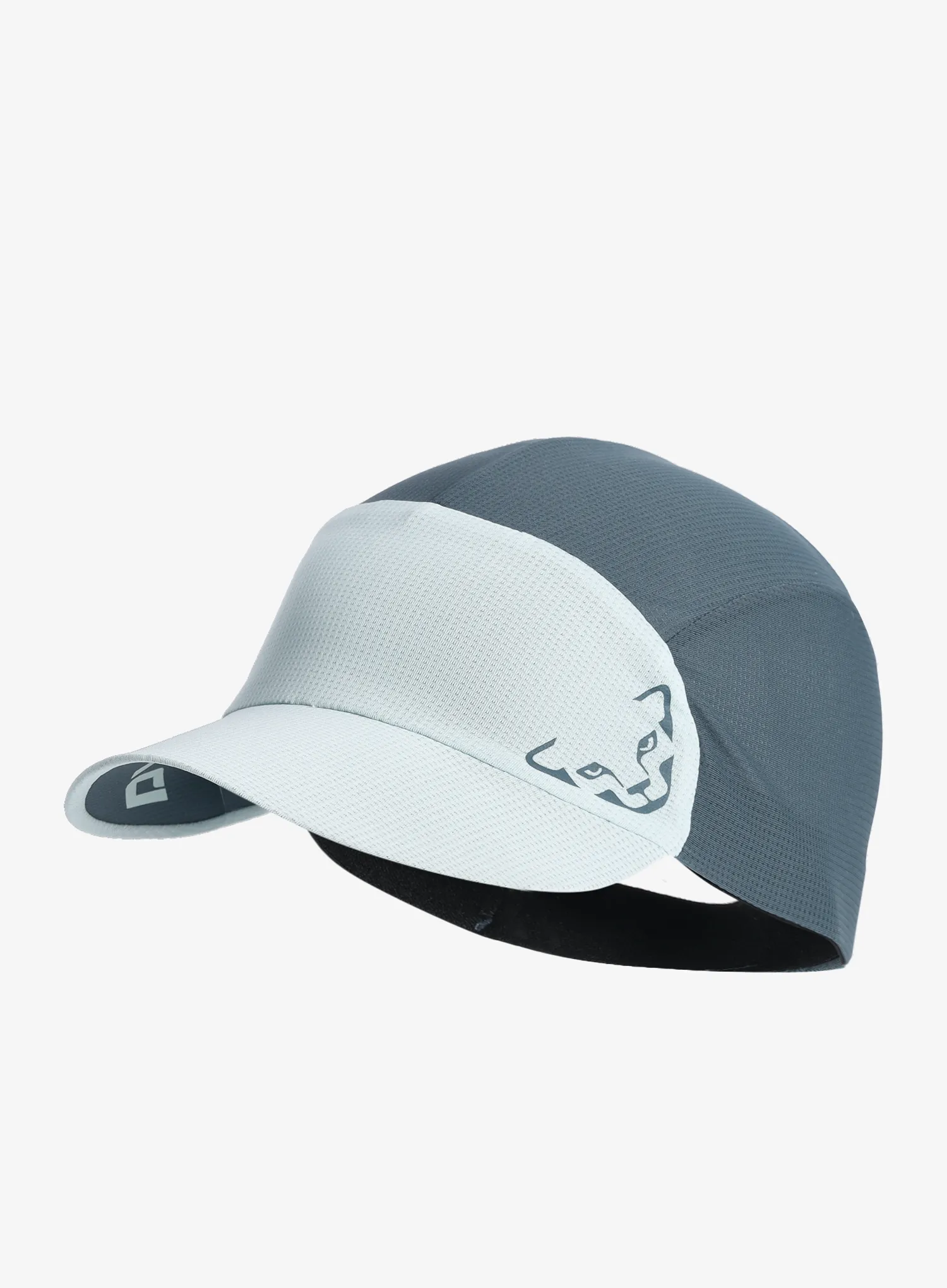 Kapa s šiltom Dynafit Alpine Visor Cap - cloud blue