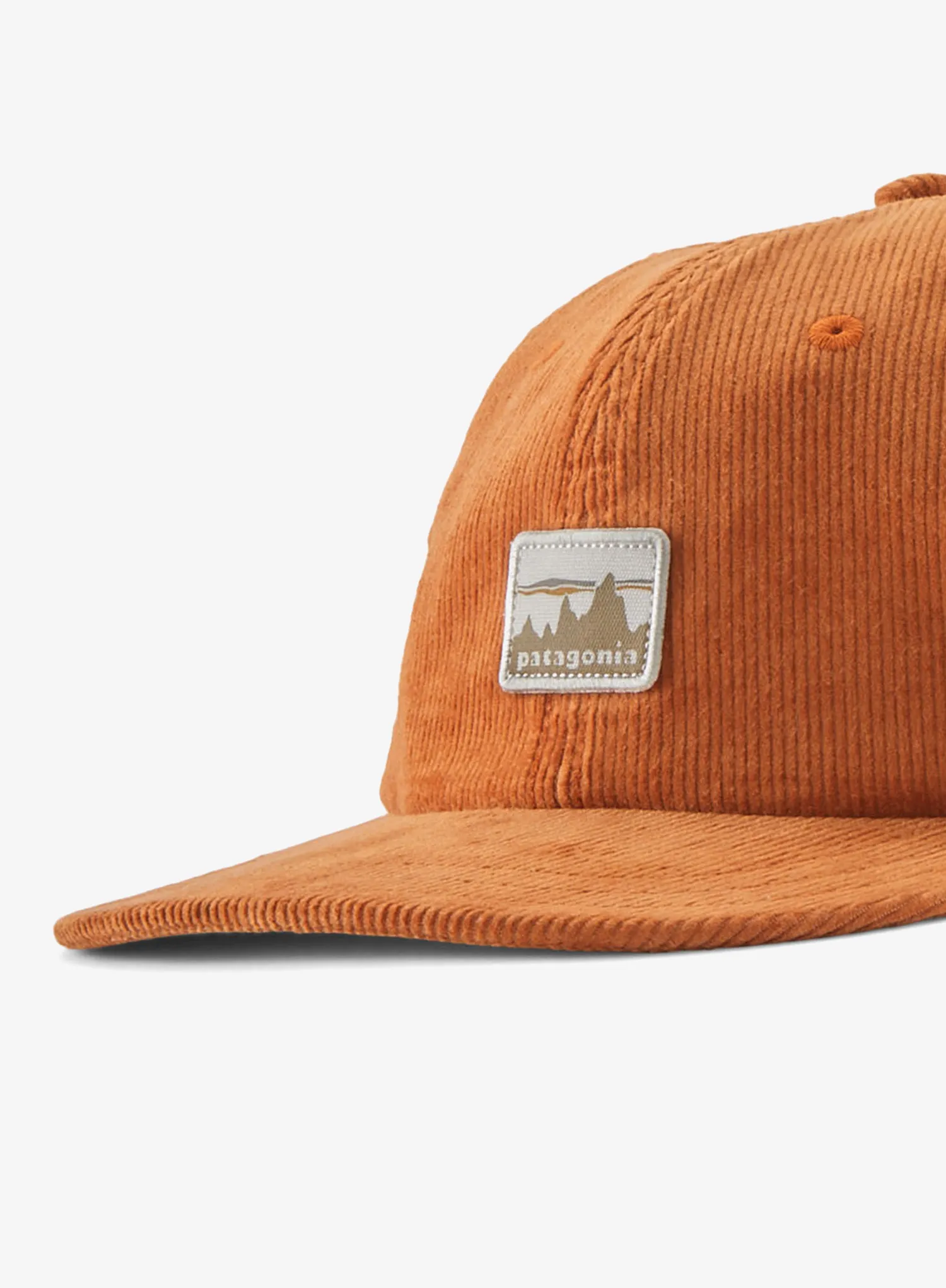 Kapa s šiltom Patagonia Corduroy Cap - 73 skyline/robin brown