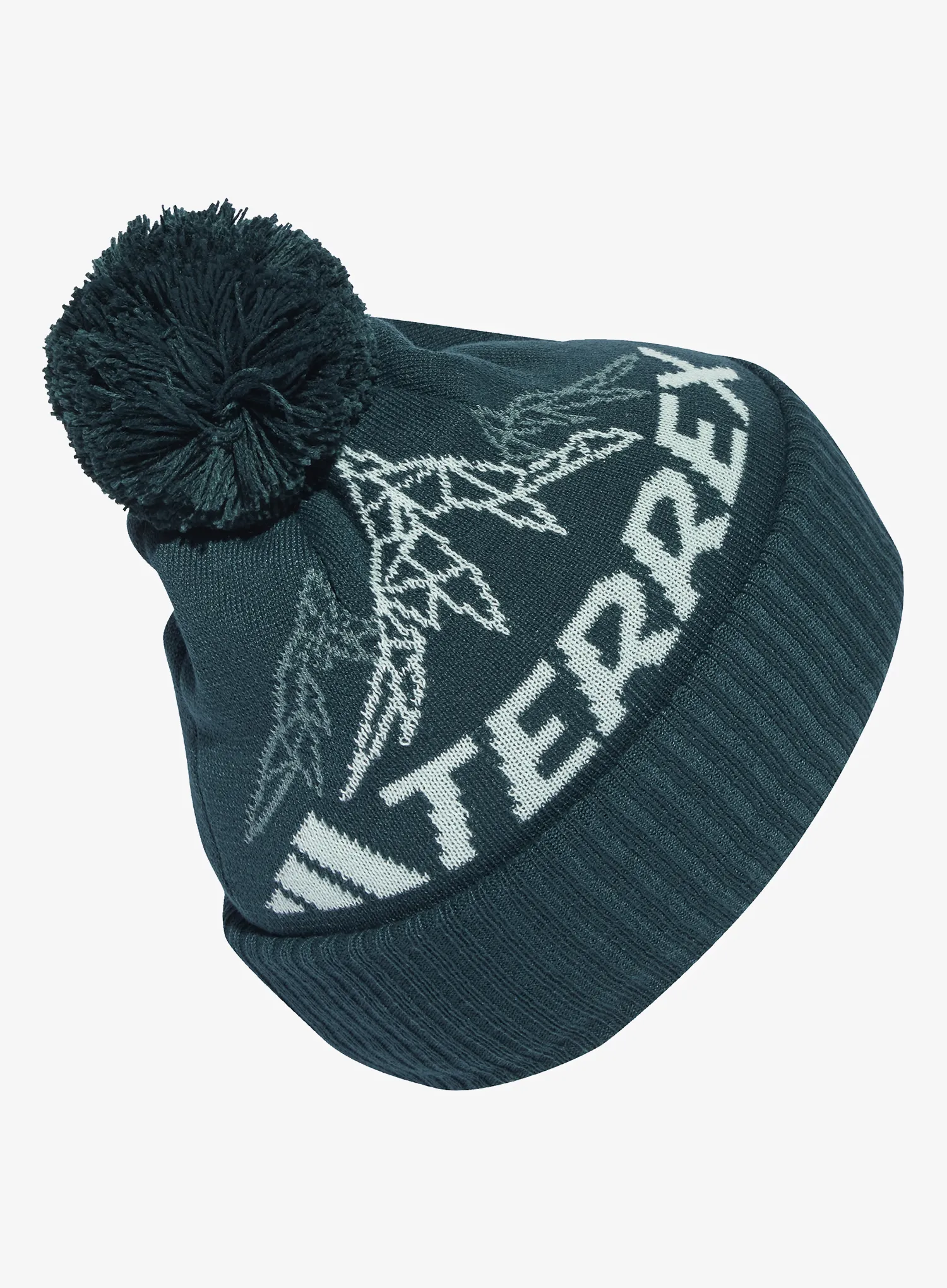 Zimska kapa adidas TERREX Xploric Pom Beanie - aurora ivy