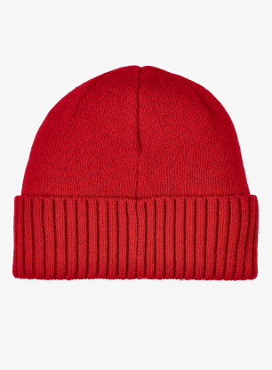 Zimska kapa Patagonia Brodeo Beanie - oval logo/amanita red