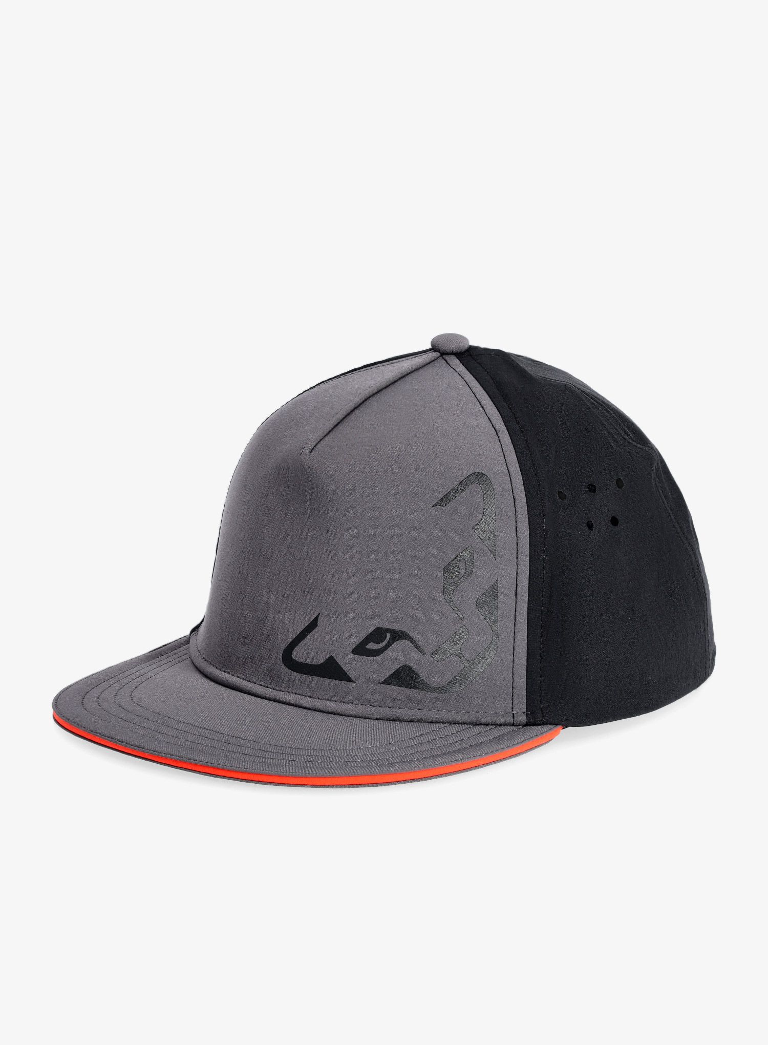 Kape Dynafit Tech Trucker Cap - magnet