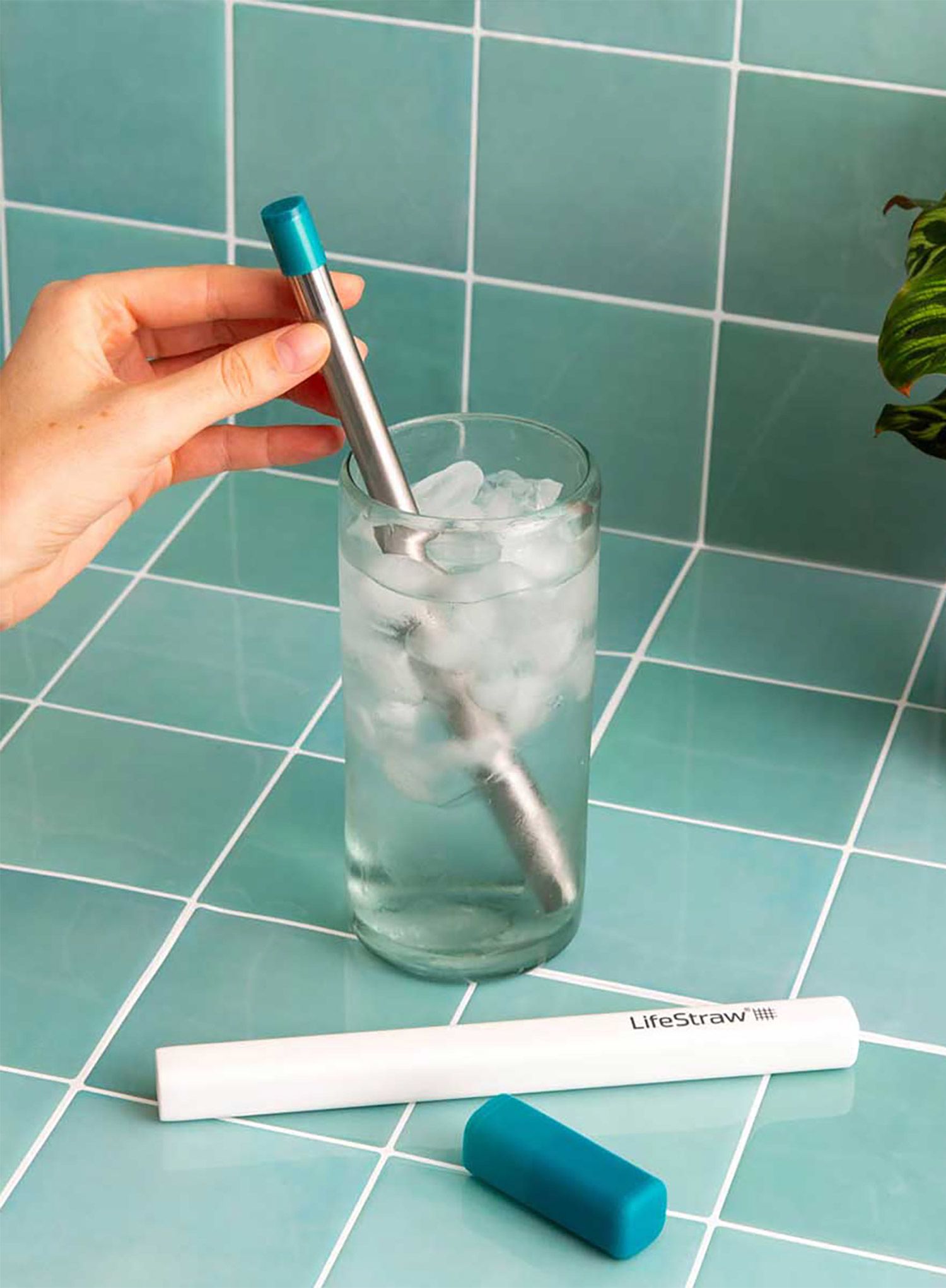 Filter za vodo LifeStraw SIP - laguna teal